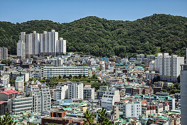 포토 JPG 주간 산 아파트 풍경 사람없음 야외 건물 도시풍경 도시 부산 국내포토 자연요소 건축물 주택 한국 파일형식