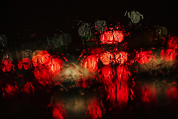 포토 JPG 도로 창문 자동차 풍경 사람없음 야외 젖음 물방울 비 야간 보케 폭우 빛망울 시흥 국내포토 자연요소 길 육상교통 교통시설 날씨 빛 자연재해 경기도 파일형식