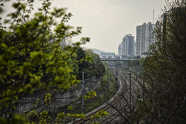 포토 JPG 주간 나무 풍경 빌딩 사람없음 야외 건물 일몰 기찻길 소프트포커스 퇴근길 일산 국내포토 자연요소 식물 건축물 촬영기법 노을 퇴근 경기도 파일형식