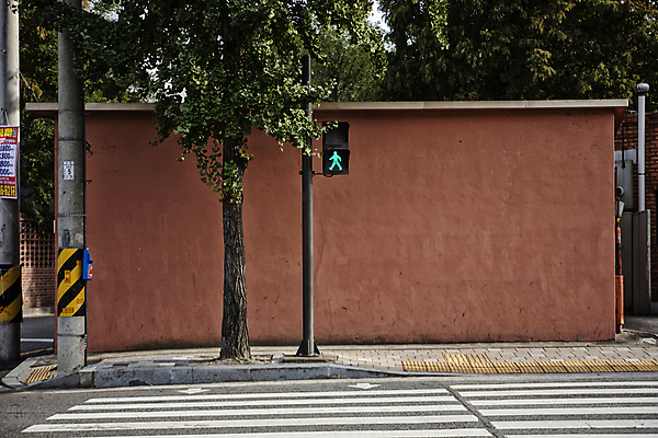 포토 JPG 주간 나무 풍경 사람없음 야외 담장 고요 횡단보도 신호등 전봇대 안양 청신호 국내포토 자연요소 식물 공공시설 보행로 경기도 파일형식