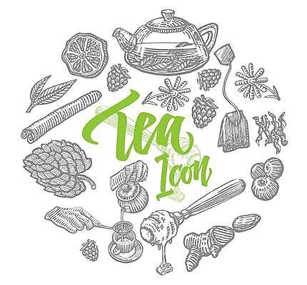 EPS 해외이미지 손 디자인 꽃 일러스트 들기 사람없음 신체부위 차 찻주전자 스케치 민트 허브 산딸기 생강 찻잎 건과일 티백 시나몬 시나몬스틱 캐모마일 허니디퍼 차거름망 해외일러스트 식물 음료 채소 과일 모션 주전자 건조 미술 사람 차_음료 도구 파일형식 벡터 이미지허브