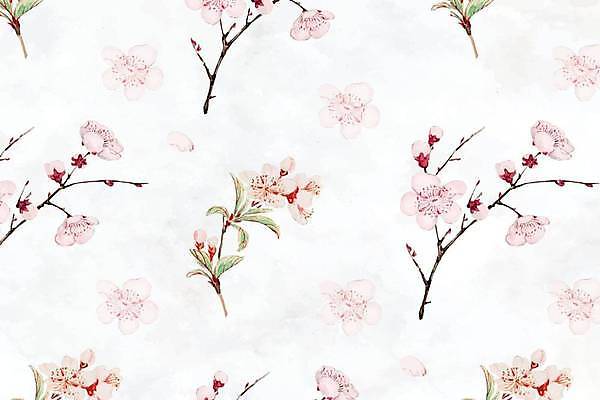 EPS 해외이미지 디자인 분홍색 백그라운드 잎 패턴 일러스트 사람없음 벚꽃 해외일러스트 식물 꽃 컬러 무늬 파일형식 벡터 이미지허브