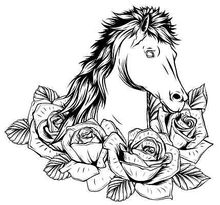 EPS 해외이미지 식물 동물 디자인 꽃 실루엣 선 백그라운드 꽃무늬 일러스트 자연 흑백 미술 그래픽 달리기 농장 장미 머리 점프 검은색 힘 자유 수확 흰색 우아함 낙서 승차 인쇄 스케치 문신 심볼 클럽 그림 윤곽 갈기 공상 마법 판화 고립 작약 해외일러스트 레이스천 컬러 컨셉 무늬 농업 모션 문화예술 촬영기법 신체부위 직물 생태계 파일형식 벡터 이미지허브