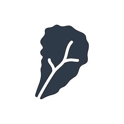 EPS 해외이미지 잎 채소 일러스트 건강 샐러드 상추 심볼 해외일러스트 식물 음식 파일형식 벡터 이미지허브