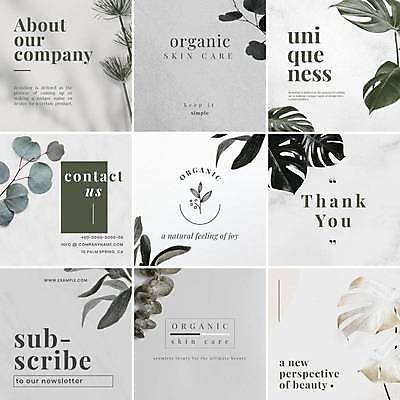 EPS 해외이미지 식물 잎 일러스트 타이포그라피 사람없음 뷰티 회색 유기농 스킨케어 구독 몬스테라 배너세트 해외일러스트 문자 웰빙 배너 컬러 세트 파일형식 벡터 이미지허브