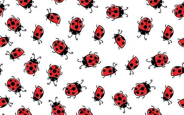 EPS 해외이미지 동물 디자인 행복 어린이 곤충 백그라운드 패턴 일러스트 자연 벽지 아이디어 미술 그래픽 장식 빨간색 유행 페인트 낭만 직물 점 신용카드 벌레 낙서 인쇄 만화 스케치 천 딱정벌레 심볼 그림 심플 무당벌레 고립 동물상 엘리먼트 반복 해외일러스트 감정 컬러 컨셉 무늬 문화예술 사람 금융 조형물 생태계 파일형식 벡터 이미지허브