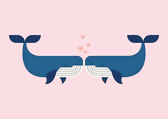 EPS 해외이미지 커플 분홍색 두마리 일러스트 키스 사람없음 하트 쌍 고래 해외일러스트 모양 컬러 2 포유류 관계 수중동물 애정표현 파일형식 벡터 이미지허브