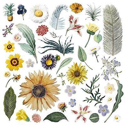 EPS 해외이미지 꽃 줄기 잎 일러스트 해바라기 사람없음 세트 다양 파인애플 그림 엘리먼트 열대꽃 열대잎 해외일러스트 식물 다수 과일 열대과일 파일형식 벡터 이미지허브