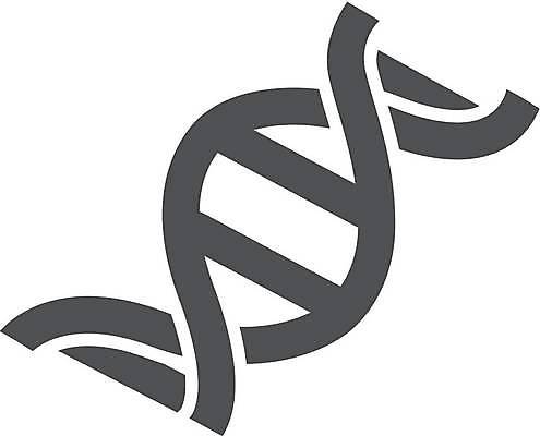 EPS 해외이미지 디자인 과학 곡선 신체 일러스트 자연 흑백 건강 그래픽 픽토그램 약 계단 검은색 웹 DNA 심볼 오브젝트 사인 생물학 윤곽 염색체 복제 유전 해외일러스트 교육 선 컬러 인터넷 의학 촬영기법 생명공학 생태계 파일형식 벡터 이미지허브