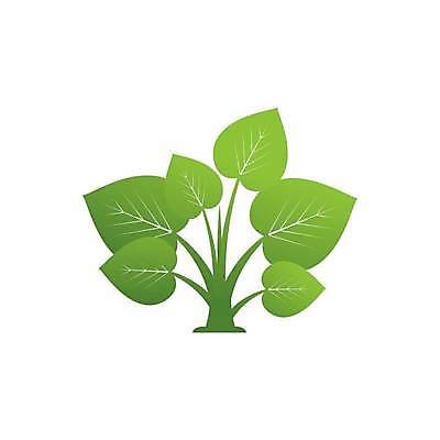 EPS 해외이미지 모양 식물 디자인 꽃 컨셉 잎 꽃무늬 일러스트 자연 그래픽 장식 초록색 환경 웹 흰색 신선 심볼 사인 에코 유기농 내추럴 고립 생태학 엘리먼트 해외일러스트 웰빙 교육 컬러 무늬 인터넷 생태계 파일형식 벡터 이미지허브