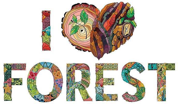 EPS 해외이미지 선 일러스트 추상 사랑 사람없음 하트 그림 젠탱글 해외일러스트 모양 감정 무늬 파일형식 벡터 이미지허브