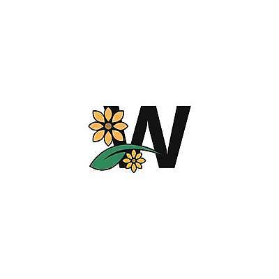 EPS 해외이미지 1 알파벳 꽃 잎 2 일러스트 자연 3 숫자 벚꽃 U 9 4 E X 8 6 편지 B 5 S O C F W K D Z 내추럴 I T 영 7 해외일러스트 식물 문자 영어 생태계 파일형식 벡터 이미지허브