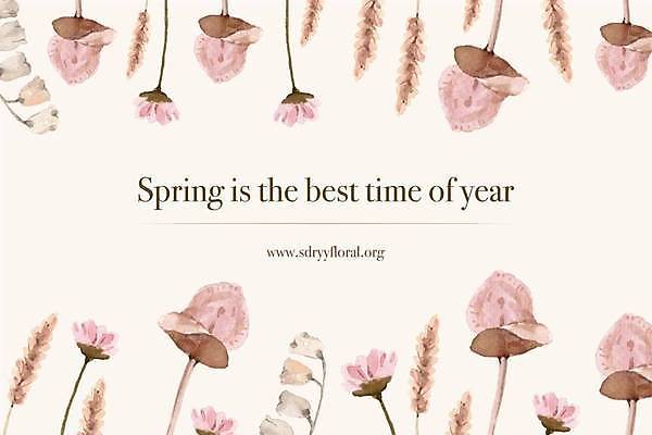 EPS 해외이미지 꽃 분홍색 일러스트 프레임 사람없음 그림 손그림 해외일러스트 식물 컬러 파일형식 벡터 이미지허브