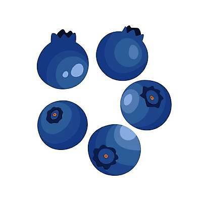 EPS 해외이미지 모양 디자인 열매 음식 백그라운드 다이어트 과일 일러스트 재료 자연 벽지 디저트 건강 미술 장식 여름 파란색 세트 컬러풀 흰색 직물 신선 점 원형 달콤 맛 숲 스케치 수집 심볼 오브젝트 그림 유기농 블루베리 비타민 내추럴 고립 숙성 채식주의자 맛있는 해외일러스트 도형 식물 웰빙 계절 컬러 컨셉 문화예술 생태계 채식 영양소 파일형식 벡터 이미지허브