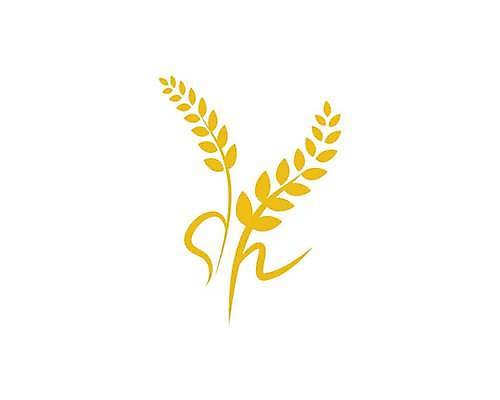 EPS 해외이미지 식물 디자인 음식 빵 백그라운드 밭 농업 일러스트 자연 밥 건강 씨앗 농작물 농장 노란색 라벨 빵집 수확 흰색 황금 낟알 시리얼 밀 심볼 사인 유기농 보리 귀 밀가루 스파이크 내추럴 고립 밭일 엘리먼트 호밀 해외일러스트 웰빙 산업 컬러 곡류 프레임 신체부위 상점 가루 생태계 파일형식 벡터 이미지허브