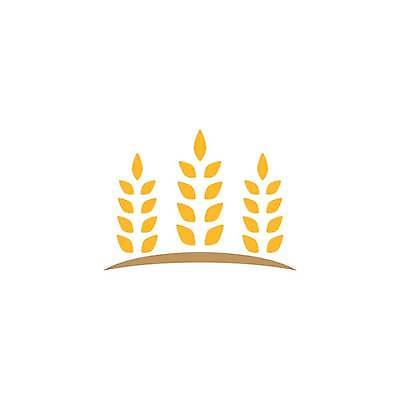 EPS 해외이미지 식물 디자인 음식 빵 농업 일러스트 자연 밥 씨앗 농작물 농장 수확 성장 낟알 시리얼 밀 심볼 사인 보리 귀 내추럴 고립 밭일 엘리먼트 호밀 해외일러스트 산업 곡류 신체부위 생태계 파일형식 벡터 사람 이미지허브