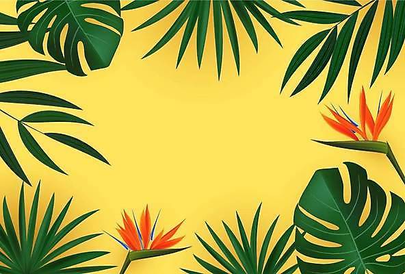 EPS 해외이미지 백그라운드 일러스트 프레임 사람없음 초록색 노란색 극락조화 몬스테라 열대잎 트로피컬아트 해외일러스트 식물 컬러 잎 그림 파일형식 벡터 이미지허브