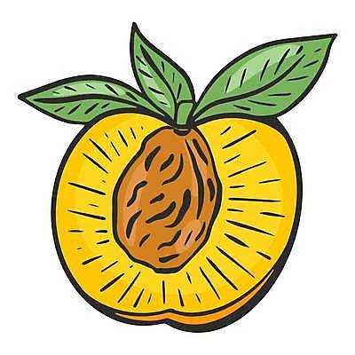 EPS 해외이미지 식물 음식 조각 잎 농업 다이어트 오렌지 과일 일러스트 재료 부분 건강 그래픽 여름 장미 정원 수확 신선 플랫 달콤 스케치 자르기 수집 오브젝트 그림 에코 유기농 날것 윤곽 복숭아 판화 내추럴 고립 엘리먼트 천도복숭아 맛있는 해외일러스트 웰빙 계절 꽃 산업 모션 미술 환경 맛 파일형식 벡터 컨셉 문화예술 이미지허브