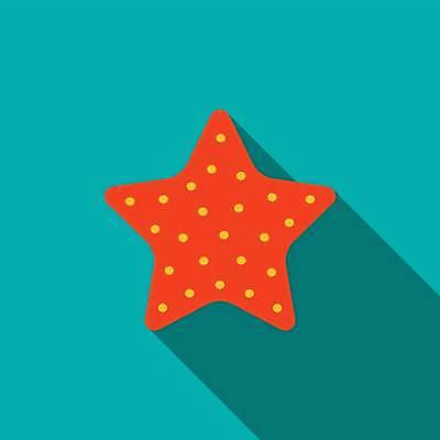 EPS 해외이미지 모양 동물 디자인 계절 실루엣 별 모래 바다 여행 컨셉 일러스트 자연 휴가 불가사리 연체동물 항해 그림자 어류 그래픽 장식 빨간색 여름 수중 웹 껍질 플랫 만화 땅 심볼 오브젝트 사인 그림 심플 수족관 내추럴 블로그 엘리먼트 스타일 해외일러스트 자연요소 컬러 인터넷 배_교통 극피동물 무척추동물 촬영기법 수중동물 생태계 파일형식 벡터 이미지허브