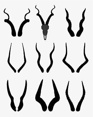 EPS 해외이미지 동물 남자 실루엣 야생동물 백그라운드 일러스트 포유류 자연 뿔 그래픽 머리 검은색 흰색 스케치 문신 심볼 사파리 사인 그림 심플 영양 부족 고립 총구 해외일러스트 컬러 컨셉 촬영기법 미술 사람 신체부위 생태계 파일형식 벡터 이미지허브