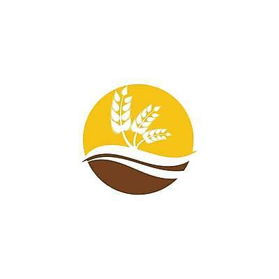 EPS 해외이미지 식물 디자인 음식 빵 농업 일러스트 자연 밥 씨앗 농작물 농장 수확 성장 낟알 시리얼 밀 심볼 사인 보리 귀 내추럴 고립 밭일 엘리먼트 호밀 해외일러스트 산업 곡류 신체부위 생태계 파일형식 벡터 이미지허브