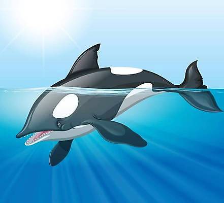 EPS 해외이미지 한마리 바다 일러스트 사람없음 햇빛 고래 범고래 해외일러스트 1 포유류 태양 수중동물 파일형식 벡터 이미지허브