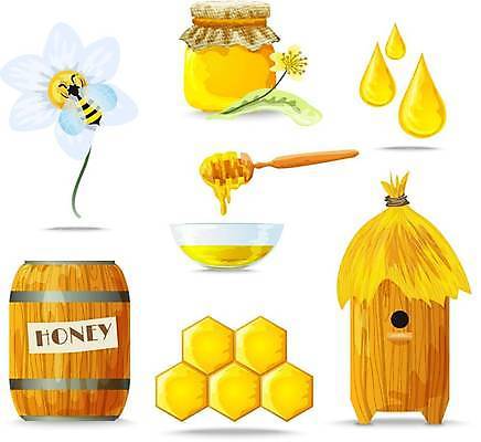 EPS 해외이미지 디자인 꽃 음식 곤충 컨셉 농업 일러스트 디저트 건강 장식 세트 농장 노란색 숟가락 식사 신선 황금 달콤 맛 말벌 상품 설탕 벌 수집 먹기 심볼 오브젝트 국자 유기농 데이지 꽃가루 꿀 벌집 내추럴 고립 밀랍 바이오 왁스 캐모마일 해외일러스트 식물 동물 웰빙 산업 컬러 모션 주방용품 수저 벌_곤충 가루 허브 파일형식 벡터 이미지허브