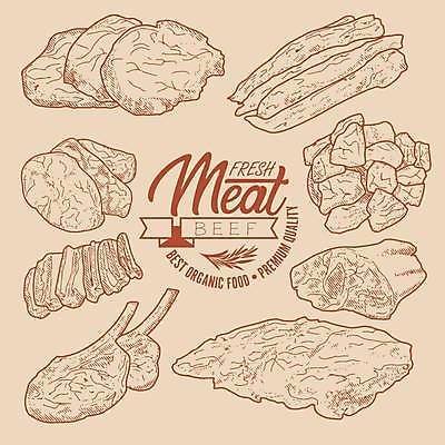 EPS 해외이미지 라인일러스트 일러스트 육류 돼지고기 스테이크 사람없음 소고기 햄 베이컨 양고기 등심 베이지색 정육점 해외일러스트 컬러 식재료 서양음식 상점 파일형식 벡터 이미지허브