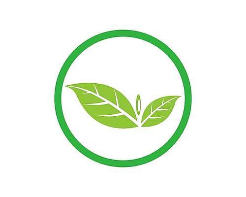 EPS 해외이미지 모양 나무 식물 템플릿 디자인 실루엣 컨셉 잎 꽃무늬 일러스트 회사 비즈니스 자연 추상 건강 미술 그래픽 장식 초록색 세트 새싹 환경 봄 신선 플랫 보호 수집 심볼 사인 에코 유기농 내추럴 고립 생태학 엘리먼트 해외일러스트 웰빙 계절 교육 꽃 컬러 무늬 문화예술 촬영기법 생태계 파일형식 벡터 이미지허브