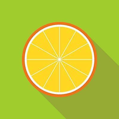 EPS 해외이미지 식물 디자인 음식 조각 다이어트 오렌지 과일 일러스트 부분 자연 디저트 귤 건강 그림자 여름 노란색 주스 껍질 흰색 신선 원형 플랫 달콤 맛 유기농 비타민 내추럴 고립 비타민C 숙성 신맛 스타일 맛있는 해외일러스트 도형 웰빙 계절 음료 컬러 컨셉 생태계 영양소 파일형식 벡터 이미지허브