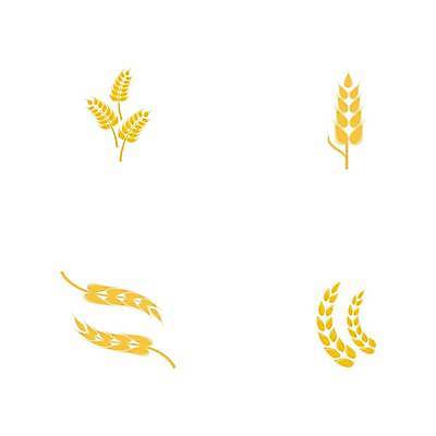 EPS 해외이미지 식물 디자인 음식 빵 백그라운드 밭 농업 일러스트 자연 밥 건강 씨앗 농작물 농장 노란색 라벨 빵집 수확 흰색 황금 낟알 시리얼 밀 심볼 사인 유기농 보리 귀 밀가루 스파이크 내추럴 고립 밭일 엘리먼트 호밀 해외일러스트 웰빙 산업 컬러 곡류 프레임 신체부위 상점 가루 생태계 파일형식 벡터 이미지허브