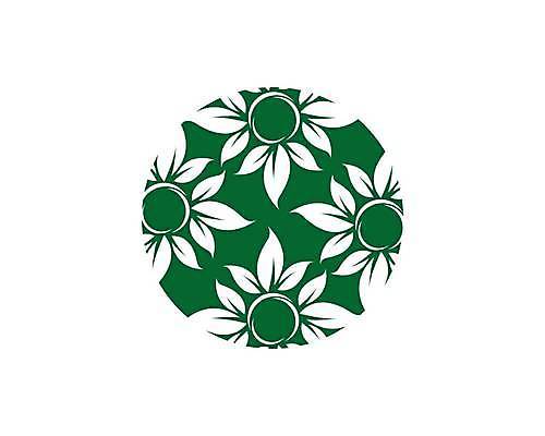 EPS 해외이미지 모양 나무 식물 템플릿 디자인 실루엣 컨셉 잎 꽃무늬 일러스트 회사 비즈니스 자연 추상 건강 미술 그래픽 장식 초록색 세트 새싹 환경 봄 신선 플랫 보호 수집 심볼 사인 에코 유기농 내추럴 고립 생태학 엘리먼트 해외일러스트 웰빙 계절 교육 꽃 컬러 무늬 문화예술 촬영기법 생태계 파일형식 벡터 이미지허브