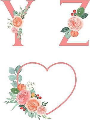 EPS 해외이미지 알파벳 꽃 일러스트 프레임 타이포그라피 사람없음 하트 심볼 Z Y 브랜딩 해외일러스트 모양 식물 문자 영어 파일형식 벡터 이미지허브