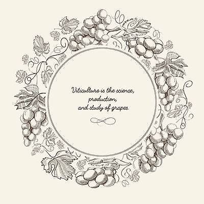 EPS 해외이미지 일러스트 포도 프레임 사람없음 원형 스케치 원형프레임 포도넝쿨 포도잎 해외일러스트 도형 잎 과일 미술 덩굴 파일형식 벡터 이미지허브