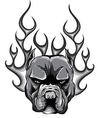 EPS 해외이미지 동물 디자인 백그라운드 스티커 일러스트 포유류 교통시설 자동차 불 추상 불꽃 그래픽 반려동물 검은색 줄무늬 덮개 흰색 개 강아지 자르기 문신 심볼 황소 불독 스파이크 송곳니 고립 기르기 마스코트 복종 유래 자동 포장소품 브랜딩 해외일러스트 레이스천 자연요소 육상교통 컬러 교통 무늬 포장 모션 뚜껑 직물 소 치아 오브젝트 시설 돌봄 포장재료 파일형식 벡터 이미지허브