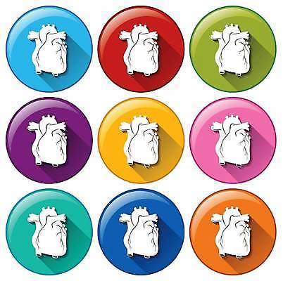 EPS 해외이미지 일러스트 사람없음 세트 컬러풀 심장 원형 해외일러스트 도형 컬러 장기_의학 파일형식 벡터 이미지허브