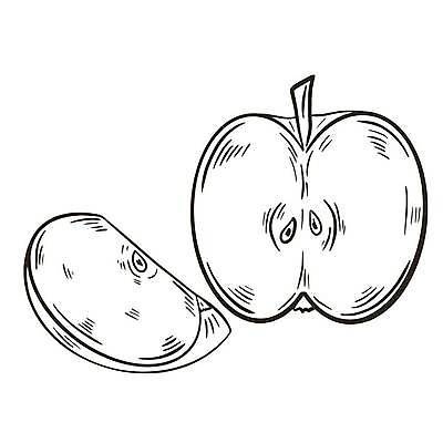 EPS 해외이미지 손 디자인 선 음식 조각 농업 다이어트 과일 일러스트 자연 잉크 건강 미술 그래픽 농장 정원 수확 나뭇가지 신선 달콤 낙서 사과 상품 스케치 그림 유기농 오르기 슬라이스 심플 판화 내추럴 고립 숙성 채식주의자 스타일 비건 해외일러스트 나무 웰빙 산업 모션 문화예술 신체부위 맛 생태계 채식 파일형식 벡터 이미지허브