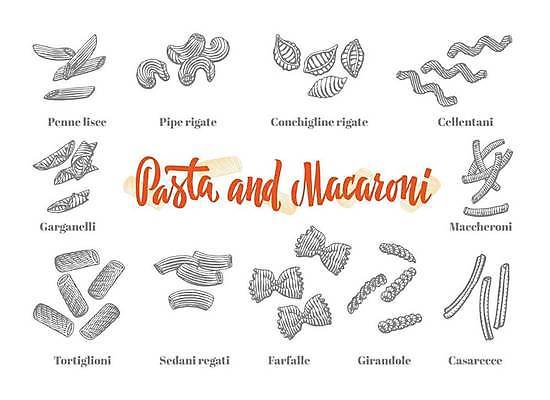 EPS 해외이미지 일러스트 파스타 나선형 스파게티 종류 사람없음 다양 스케치 라비올리 마카로니 파르팔레 파스타면 펜네 토르텔리니 해외일러스트 다수 무늬 서양음식 미술 면류 파일형식 벡터 이미지허브
