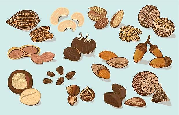 EPS 해외이미지 손 디자인 음식 백그라운드 컨셉 농업 일러스트 추상 건강 미술 씨앗 장식 빛 세트 컬러풀 견과류 껍질 신선 소나무 맛 상품 밤 스케치 수집 먹기 심볼 오브젝트 사인 에코 유기농 땅콩 호두 도토리 아몬드 비타민 브라질 내추럴 개암나무 고립 엘리먼트 채식주의자 캐슈넛 피스타치오 피칸 개암 해외일러스트 나무 식물 웰빙 열매 산업 컬러 무늬 모션 문화예술 신체부위 환경 남아메리카 채식 영양소 파일형식 벡터 이미지허브