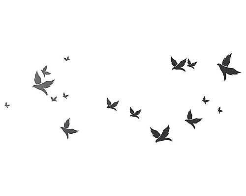 EPS 해외이미지 동물 템플릿 디자인 실루엣 백그라운드 컨셉 날개 일러스트 회사 비즈니스 자연 조류 하늘 추상 파란색 평화 자유 흰색 공작 심볼 사인 비둘기 독수리 고립 봉황 해외일러스트 컬러 무늬 촬영기법 생태계 파일형식 벡터 이미지허브