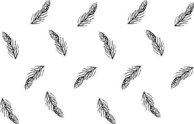 EPS 해외이미지 나무 식물 계절 야생동물 크리스마스 겨울 일러스트 자연 휴가 새로움 선물 정원 나뭇가지 소나무 신용카드 숲 연도 생물학 솔방울 전나무 원뿔 해외일러스트 도형 동물 교육 기념일 컨셉 금융 생태계 파일형식 벡터 이미지허브