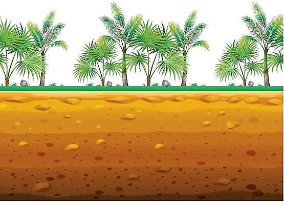 EPS 해외이미지 클립아트 나무 식물 템플릿 디자인 공원 백그라운드 패턴 일러스트 벽지 손바닥 미술 풍경 야외 그래픽 정원 흙 그림 클립 장면 지하 땅바닥 테마 반복 해외일러스트 손 공공시설 무늬 문화예술 바닥 파일형식 벡터 이미지허브