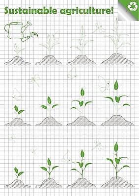 EPS 해외이미지 식물 1 줄기 백그라운드 잎 꽃무늬 일러스트 자연 초록색 물 반사 새싹 환경 성장 흰색 나뭇가지 떨어짐 이슬 작음 발사 오브젝트 그림 생태계 내추럴 고립 생태학 해외일러스트 자연요소 나무 교육 꽃 컬러 컨셉 무늬 크기 파일형식 벡터 이미지허브