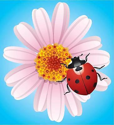 EPS 해외이미지 식물 디자인 꽃잎 꽃 분홍색 백그라운드 꽃무늬 패턴 일러스트 자연 앉기 장식 빨간색 여름 컬러풀 노란색 정원 검은색 봄 벚꽃 흰색 원형 닫기 작음 심볼 오브젝트 싱글 유기농 질감 데이지 무당벌레 넘어짐 엘리먼트 해외일러스트 도형 웰빙 계절 컬러 곤충 무늬 모션 크기 생태계 파일형식 벡터 이미지허브