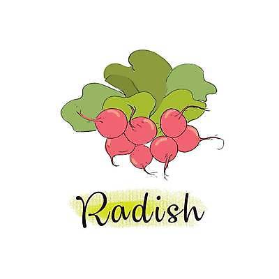 EPS 해외이미지 선 분홍색 잎 채소 일러스트 자연 잉크 건강 요리 미술 빨간색 초록색 수확 흰색 신선 시장 상품 스케치 먹기 심볼 오브젝트 그림 뿌리 영양 고립 엘리먼트 총각무 해외일러스트 식물 컬러 농업 모션 문화예술 무 생태계 파일형식 벡터 이미지허브