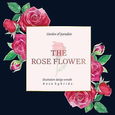 EPS 해외이미지 꽃 잎 일러스트 사각프레임 사람없음 장미 분위기 꽃봉오리 손그림 감성 해외일러스트 식물 컨셉 프레임 사각형 파일형식 벡터 이미지허브