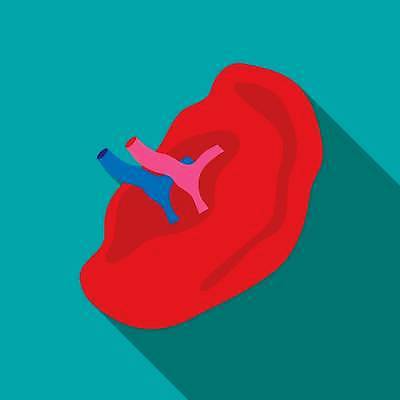 EPS 해외이미지 모양 음악 신체 일러스트 부분 해부 건강 그림자 미술 사람 내부 그래픽 약 머리 웹 침묵 소리 듣기 도움 감각 오르간 플랫 땅 심볼 오브젝트 사인 생물학 귀 청각 돌봄 블로그 스타일 해외일러스트 교육 컨셉 인터넷 의학 모션 문화예술 신체부위 건반악기 파일형식 벡터 악기 건반 이미지허브