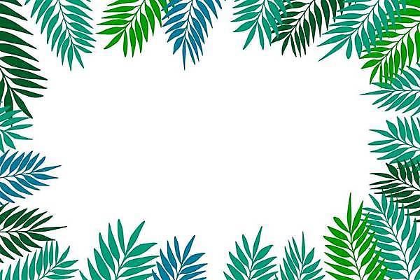 EPS 해외이미지 나무 식물 디자인 꽃 실루엣 백그라운드 잎 꽃무늬 패턴 일러스트 자연 벽지 추상 휴가 프레임 손바닥 그래픽 장식 초록색 여름 컬러풀 노란색 유행 봄 흰색 나뭇가지 신용카드 화려 스케치 그림 질감 복고 내추럴 고립 엘리먼트 이국적 스타일 국경 해외일러스트 손 계절 컬러 컨셉 무늬 촬영기법 미술 금융 생태계 파일형식 벡터 이미지허브