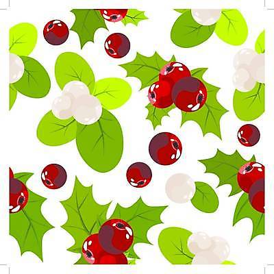 EPS 해외이미지 나무 식물 템플릿 전통 계절 열매 행복 꽃다발 백그라운드 잎 크리스마스장식 크리스마스 겨울 패턴 일러스트 휴가 기념 장식 빨간색 초록색 유행 축제 덮개 흰색 나뭇가지 축하 12월 다발 연도 심볼 타일 질감 모자이크 엘리먼트 반복 해외일러스트 기념일 꽃 감정 컬러 컨셉 무늬 뚜껑 날짜 파일형식 벡터 이미지허브