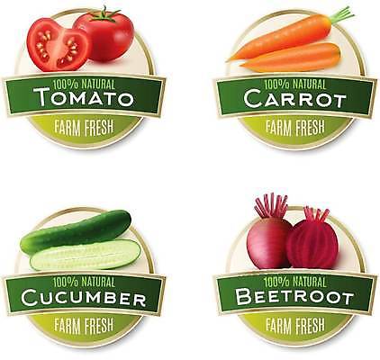 EPS 해외이미지 토마토 일러스트 단면 오이 사람없음 세트 라벨 당근 신선 원형 유기농 비트 해외일러스트 도형 웰빙 채소 뿌리채소 프레임 파일형식 벡터 이미지허브